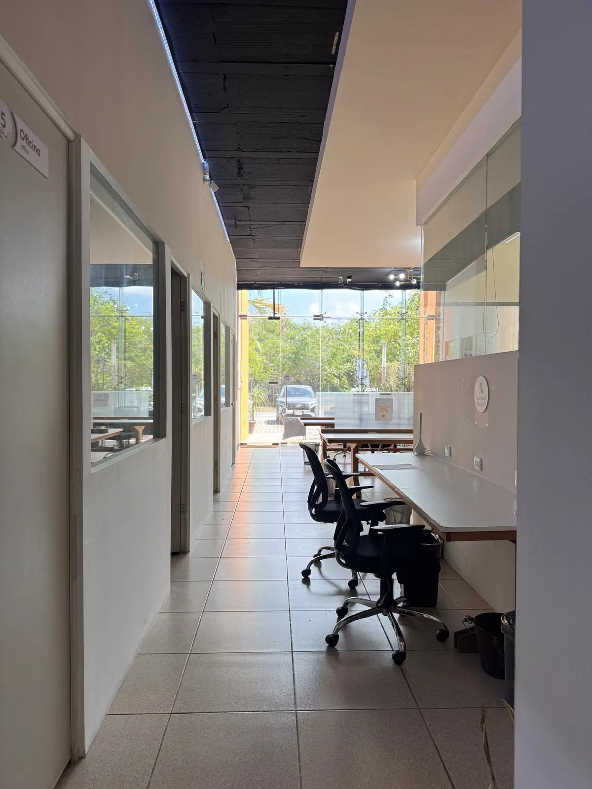 Pasillo del coworking con escritorios junto al ventanal y puertas de oficinas privadas al costado